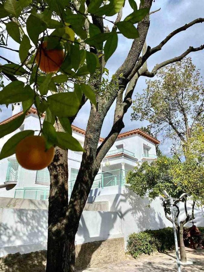 Nuevo Los Almendros 202 Complejo Turistico Apartment Kordoba Bagian luar foto